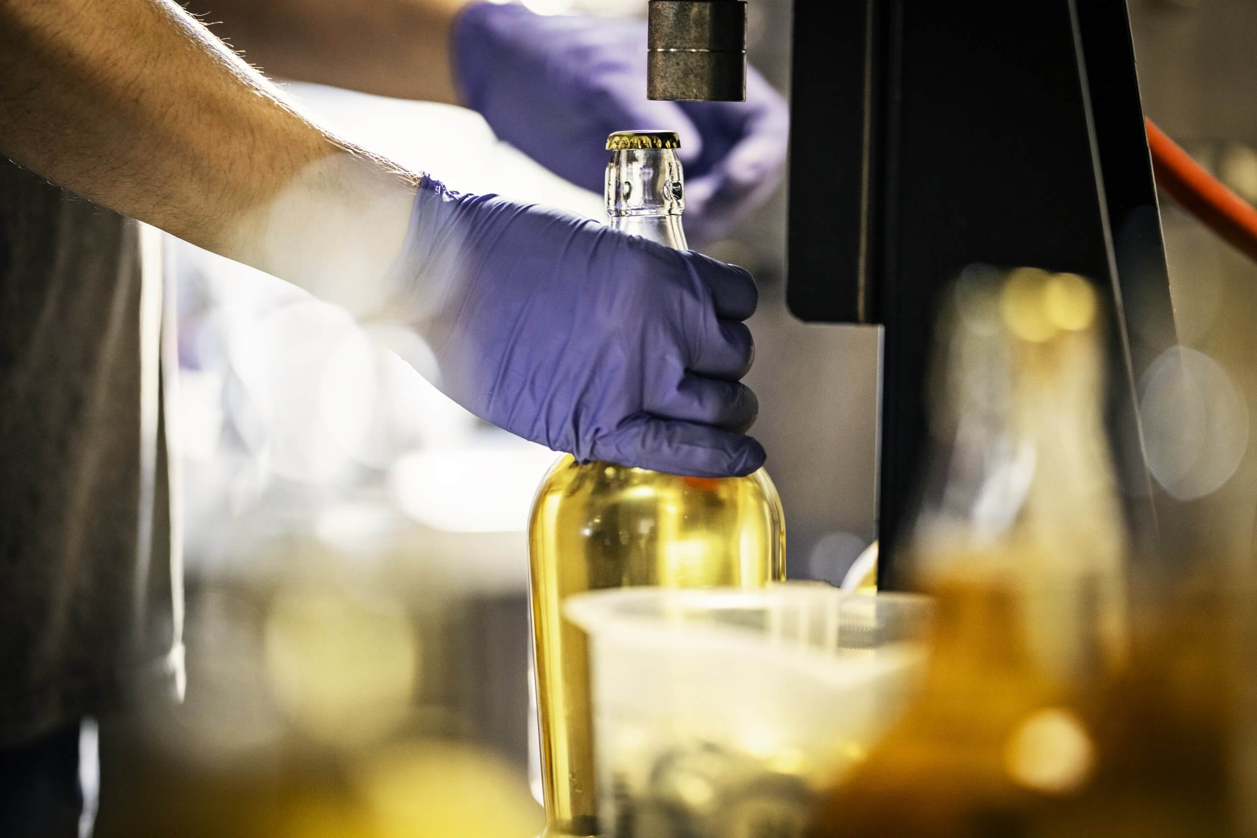 Cider being bottled by hand