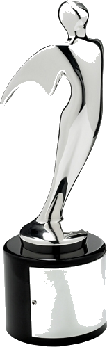 The Telly Awards award
