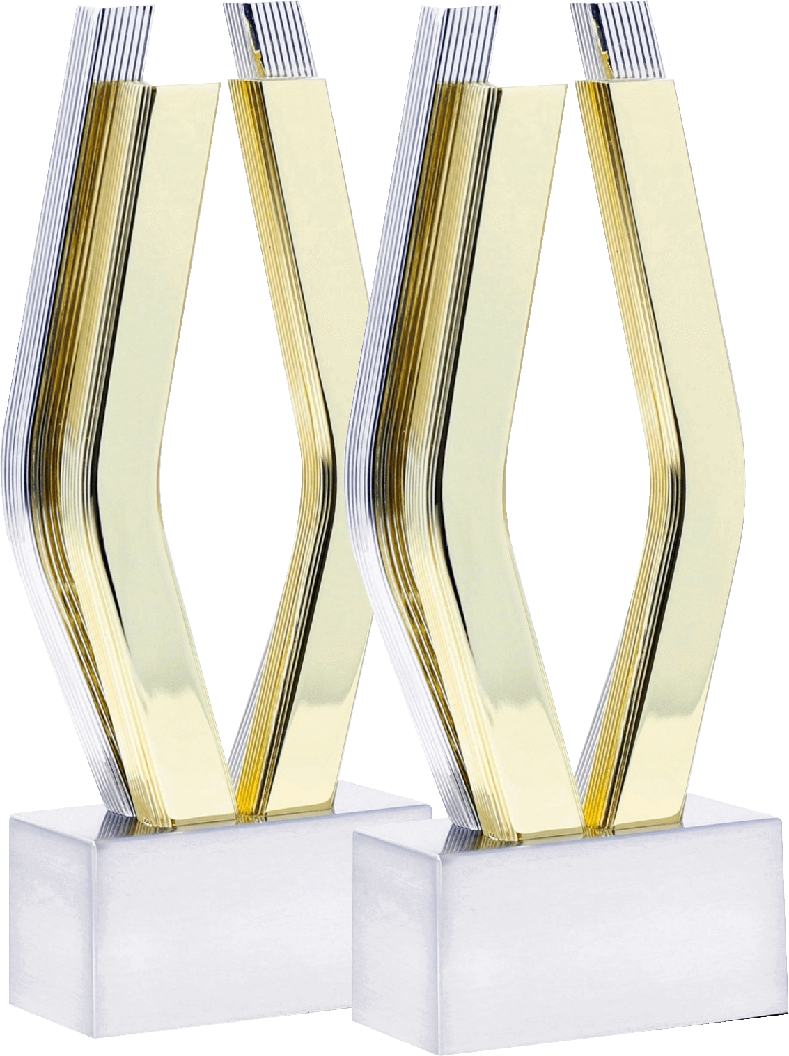 Viddy Awards award