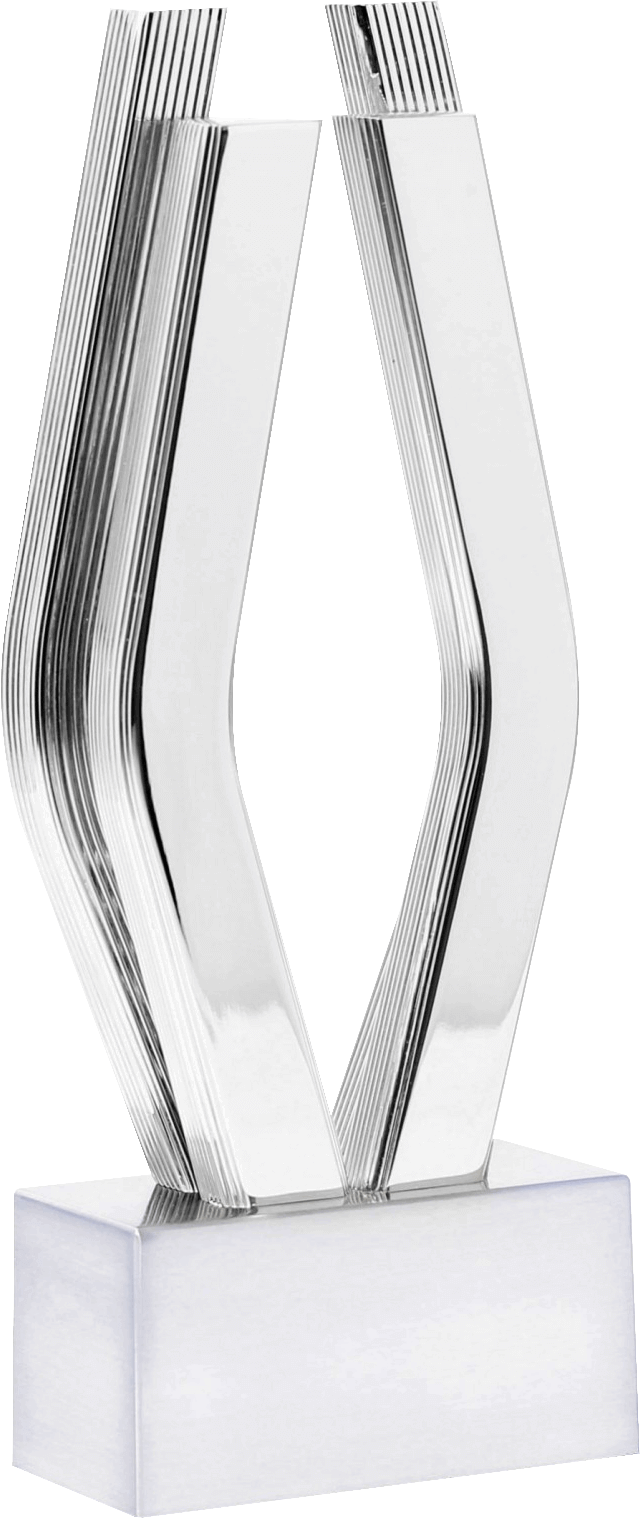 Viddy Awards award